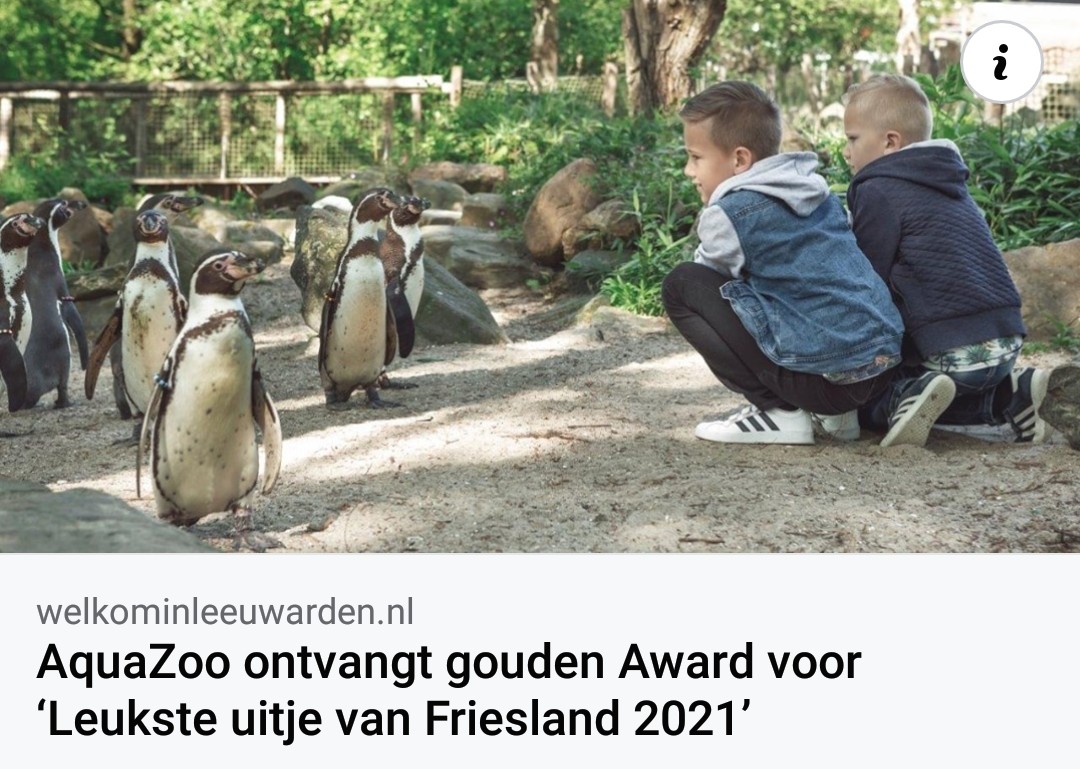 www.skutsjesilen.nl 